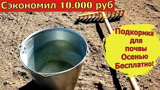 2 Ложки на ведро воды и земля как новая, пролейте этим землю для шикарного урожая