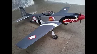 RC Plane P-51 Mustang maiden flight and CRASH!!
