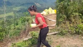 Harvest cucumber Go to the market and sell to get money buy sandals for my son