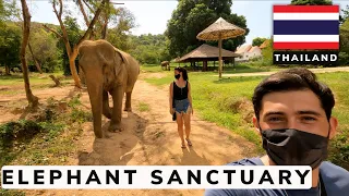 The ELEPHANT SANCTUARY in Koh Samui, THAILAND 2021