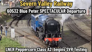 Severn Valley Railway | 60532 Blue Peter SPECTACULAR Departure from Kidderminster Town with FLORA!