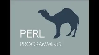Perl Programming Android App