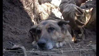 На Бога прошу, не залишайте нас! Ми - Україна. Прифронтові міста проти відведення ЗСУ