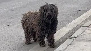 Exhausted and tired, she tried to drag herself around the village asking for food and shelter