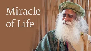 Miracle Of Life - Shekar Kapur with Sadhguru