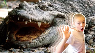 Челлендж "Не накорми крокодила за 60 секунд" / Юника и папа дразнят 200 голодных крокодилов