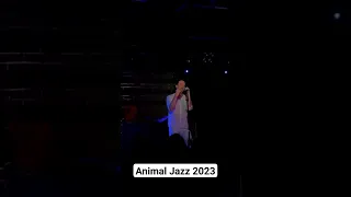 Animal Jazz Отъебись 2023 | Zero People 2023