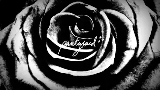 Don't Say Too Much - Pantyraid