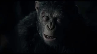 NIRVANA - Very Ape - fan made Music Video - WAR OF THE PLANET OF THE APES