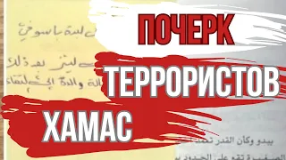 Фанаты или психи? Что почерк террористов ХАМАС говорит о них?