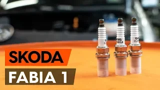 Как заменить свечи зажигания на SKODA FABIA 1 (6Y5) [ВИДЕОУРОК AUTODOC]