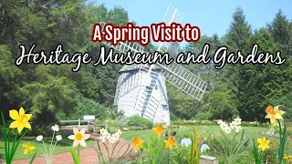 Local Spotlight: A Spring Visit to Heritage Museums & Gardens, Sandwich MA