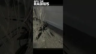 L Spooder Spawn Into the Radius #shorts