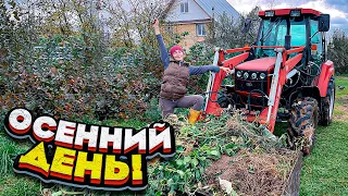 В деревне ВЕСЕЛО, а СКУЧАТЬ некогда! Переселяем птиц! | Молодая Ферма