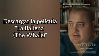DESCARGAR "LA BALLENA (THE WHALE)" – PELICULA 2023 HD | SUB. ESPAÑOL
