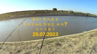 Бөгенде балық барма? отчет 29.07.2023