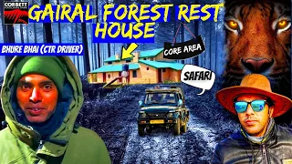 Core Area के अंदर के बाघ | Gairal Forest Rest House | Corbett National Park