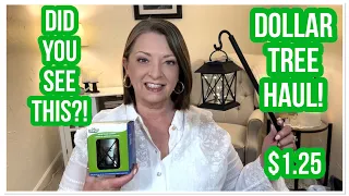 DOLLAR TREE HAUL | DID YOU SEE THIS?! | $1.25 | WOW | I LOVE THE DT😁 #haul #dollartree