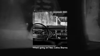 What's going on? feat. Celina Sharma (Audio)