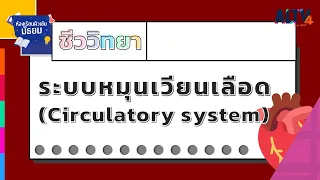 ชีววิทยา : ระบบหมุนเวียนเลือด l ห้องเรียนติวเข้มมัธยม (22 ส.ค. 64)