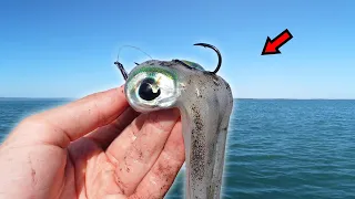 This Simple Bait Catches BIG Fish!?!