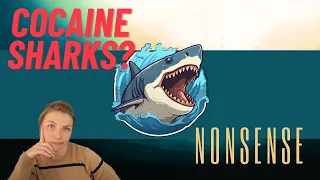 Marine biologist reacts to Shark Week