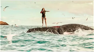 Ela Escapa Numa Carcaça de Baleia ao Ataque de Tubarão, Mas Fica 2 Dias Presa no Mar Sendo Caçada