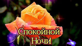 Спокойной ночи! Сладких снов тебе желаю в эту сказочную ночь.⭐🌙😘💎💎💎💎💎💎💎💎💎💎💎💎💎💎💎💎💎💎💎💎💎💎💎💎💎💎💎💎💎💎💎💎💎💎