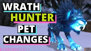 Wrath's Big Hunter Pet Changes - A Hunter's Guide | WoW Classic Wrath of the Lich King Tutorial