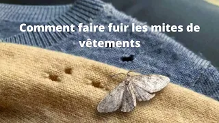 Comment faire fuir les mites de vêtements astuces génial