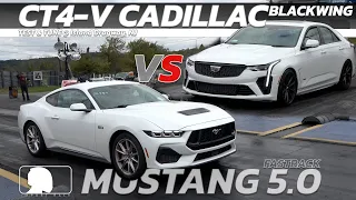 2024 Cadillac CT4 V Blackwing vs 2024 Ford Mustang Fastback 5 0