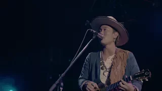 平井 大 / 祈り花 (HIRAIDAI LIVE TOUR 2017 ～LOCALS ONLY～ at TOKYO DOME CITY HALL LIVE)