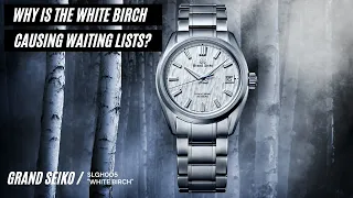Why is the White Birch causing waiting lists?
