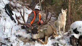 Montana Public Land Mule Deer Episode 8