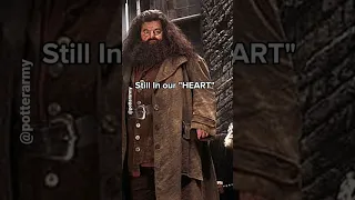 HAGRID😥😥😔 | RIP | We are Gonna Miss you!😪 | #harrypotter #Hagrid #rip #death |