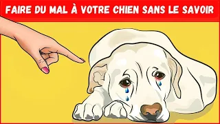 14 façons de faire du mal à votre chien sans le savoir | Incroyablement Top