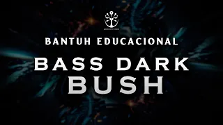 TUTORIAL BASS DARK BUSH PROG