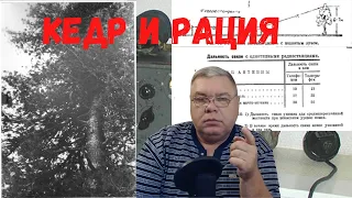 Группа Дятлова. "Окно" на кедре и радиостанция. Прямой разговор