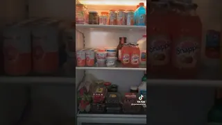drunk selena Gomez showing us her fridge