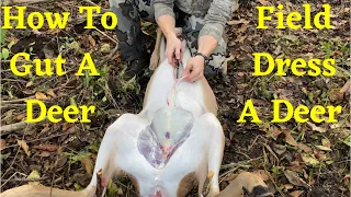 How To Field Dress A Deer | Gut A Deer