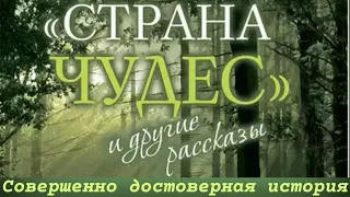 Совершенно достоверная история/Протоиерей Андрей Ткачев/Рассказ из книги Страна чудес и др. рассказы