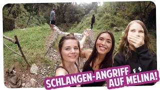 MELINA VON SCHLANGE ANGEGRIFFEN | Roadtrip #4 | Joyce