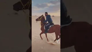 Riding horse in Dubai
