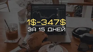 из 1$ сделал 347$ за 15 дней на фьючерсах