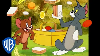 Tom und Jerry auf Deutsch 🇩🇪 | Zeit für ein Picknick! | WB Kids