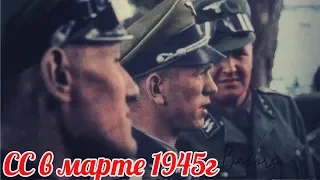 Почему офицеры СС в марте 1945г. отправили Гитлеру свои медали и нарукавные ленты в ночном горшке?