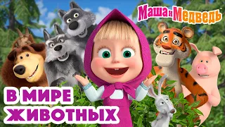 Маша и Медведь 🐯🐺 В мире животных 🐰🐻 Коллекция серий про Машу 🎬