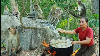 survival in the rainforest-found duck eggs for cook & eat with monkeys