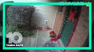 FDLE releases video of raid on former Florida coronavirus dashboard worker's home| 10 Tampa Bay