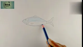 How to draw a simple fish. Simple tutorial. Fish.#মাছ আকাঁ।